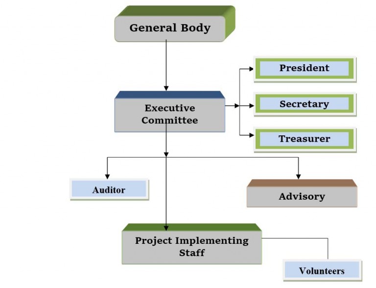 Organogram - DREAM NGO